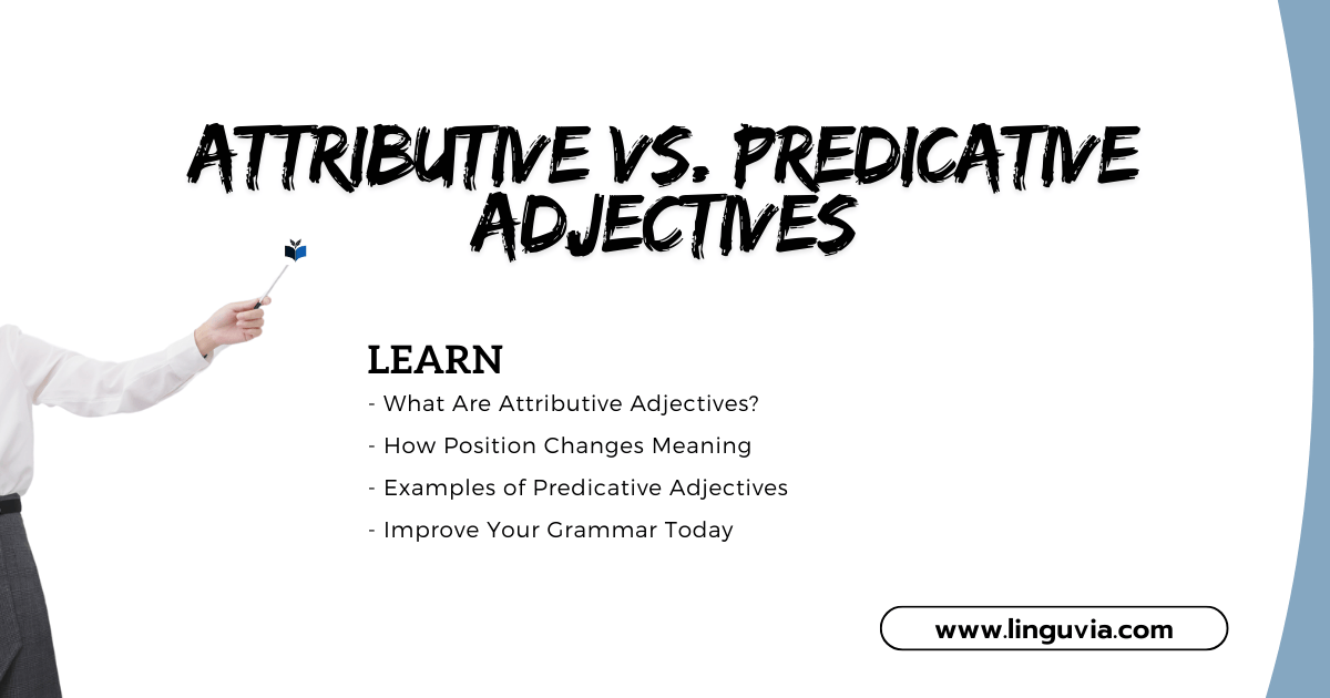 Attributive vs. Predicative Adjectives: Learn the Difference